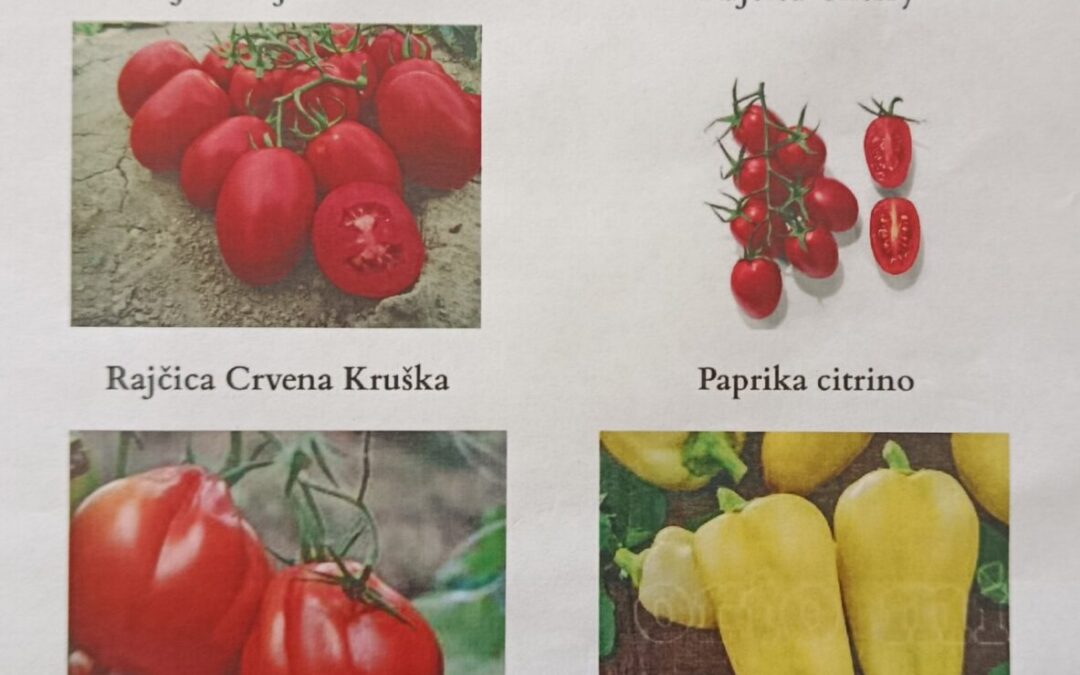 Ponuda presadnica povrća i cvijeća