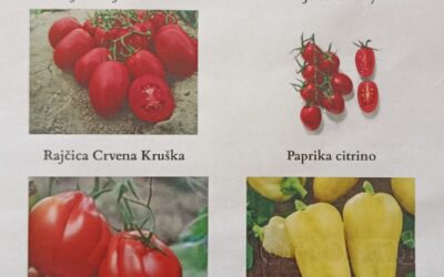 Ponuda presadnica povrća i cvijeća