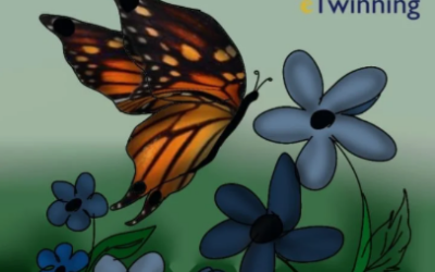 Međunarodni eTwinning projekt Ljepota u očima promatrača VI.