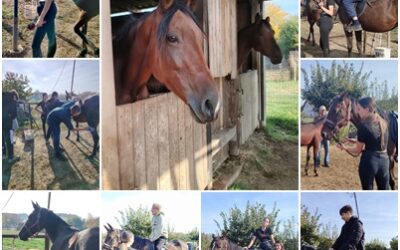 Prvi koraci u sedlu – iskustvo koje se pamti!
